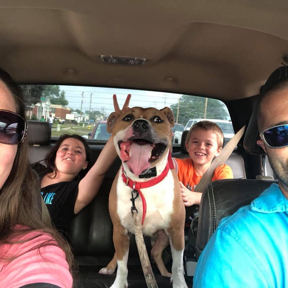 Meet your Posher, Malinda